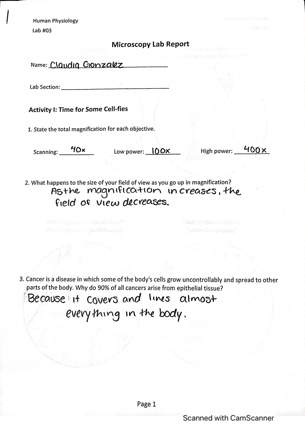 PHSO Laboratory 3 - _ tt Human Physiology Lab Microscopy Lab Report ...