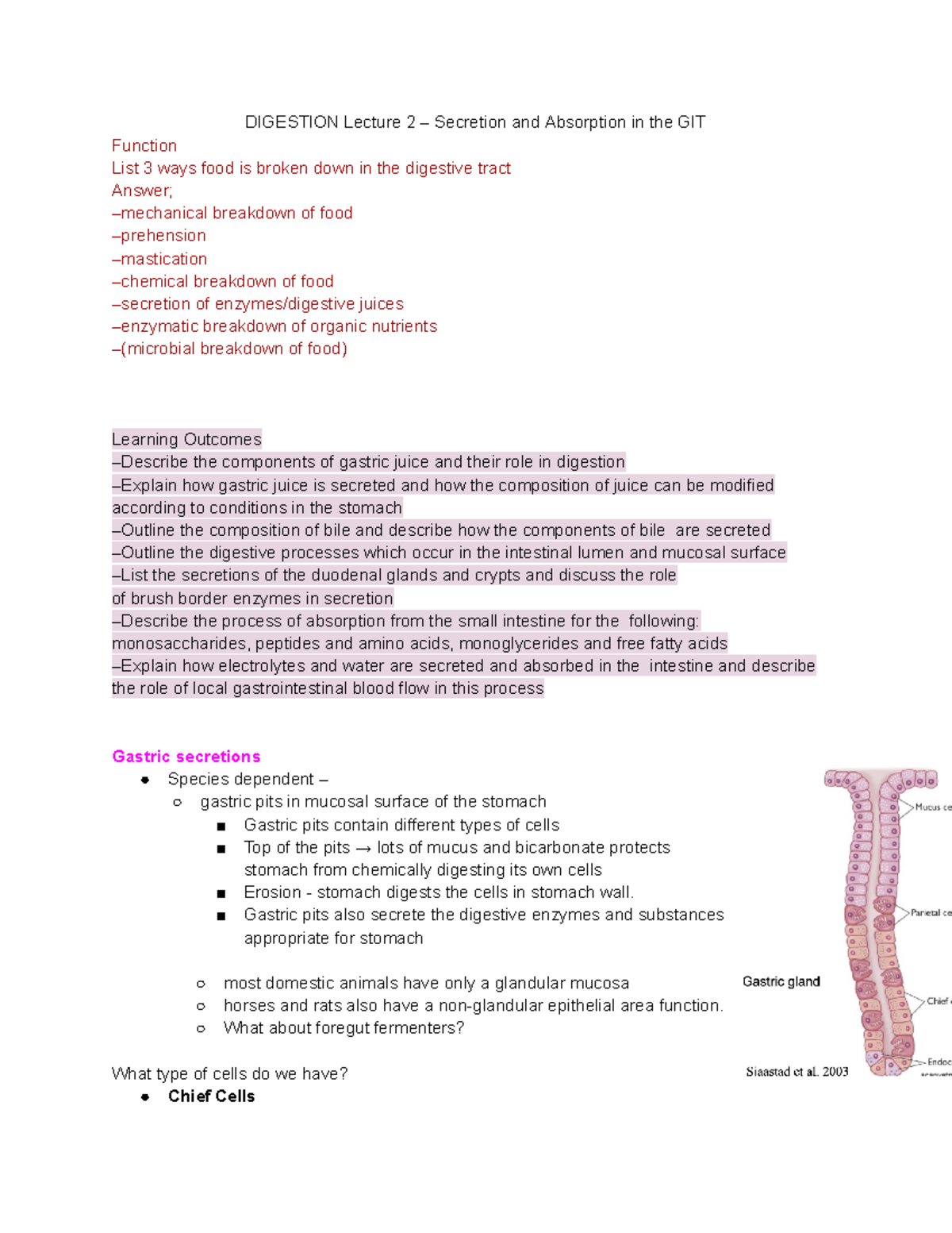 Digestive system qz1 notes part 4 - DIGESTION Lecture 2 – Secretion and ...