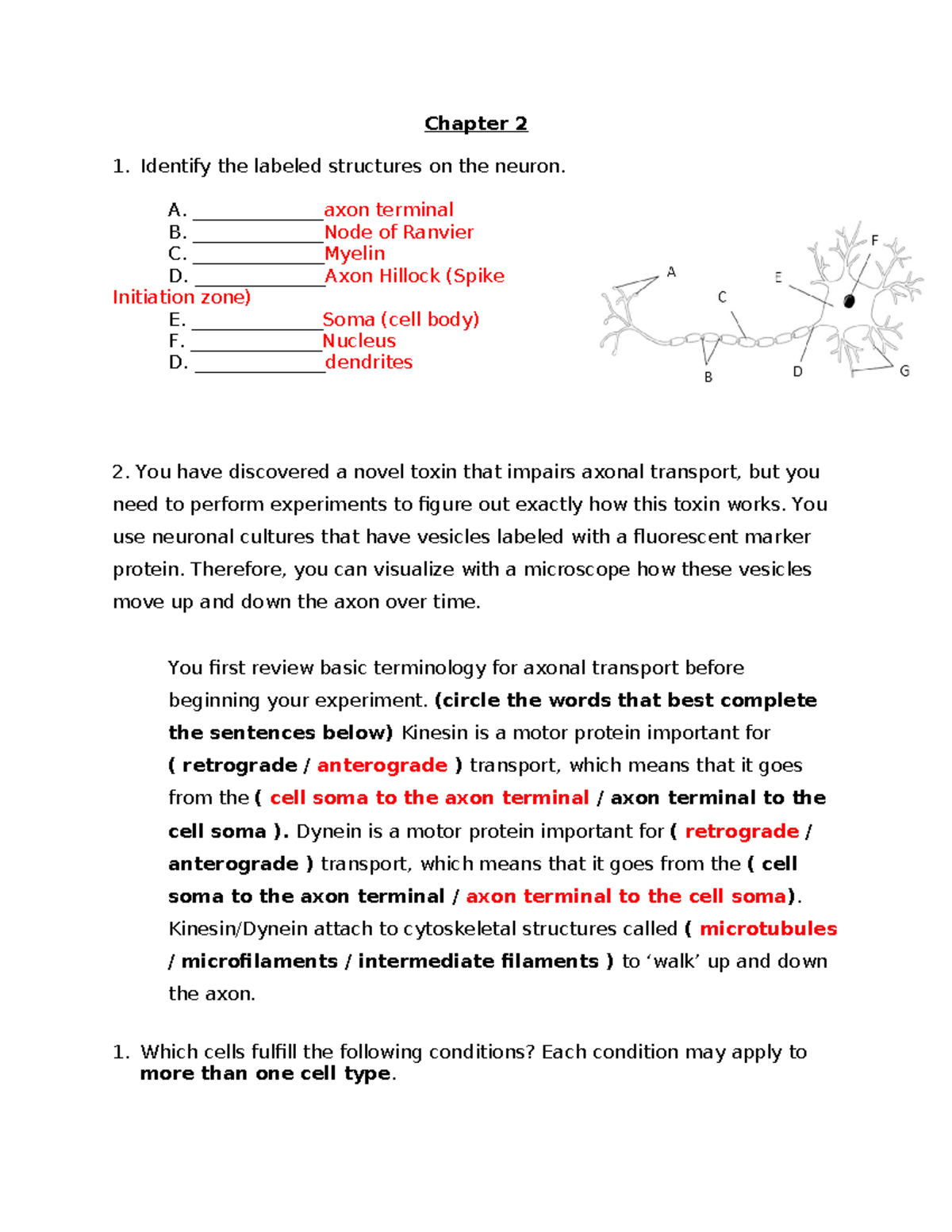 Problem Set Ch. 2 Answers - Chapter 2 Identify the labeled structures ...