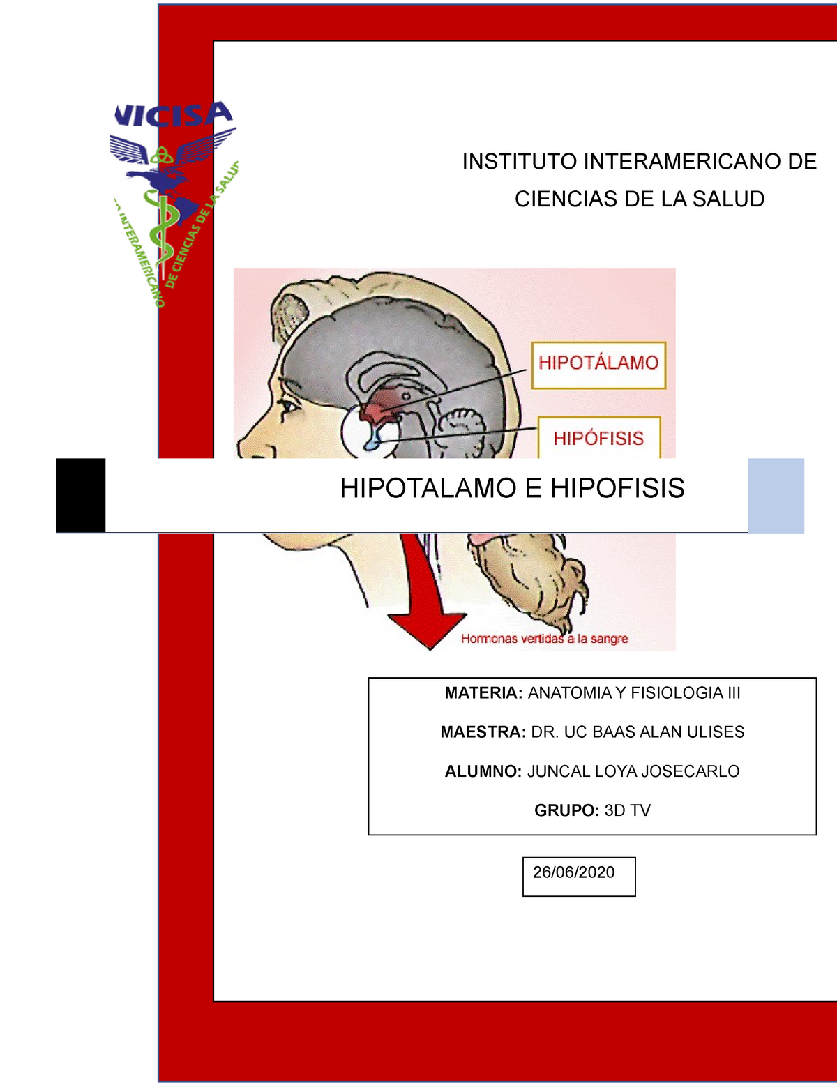 Mapa Conceptual Anatomia Y Fisiologia Del Hipotalamo E Hipofisis The