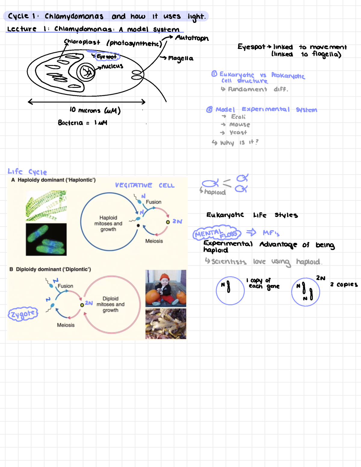 Biology Lecture Notes - Biology 1002B - UWO - Studocu