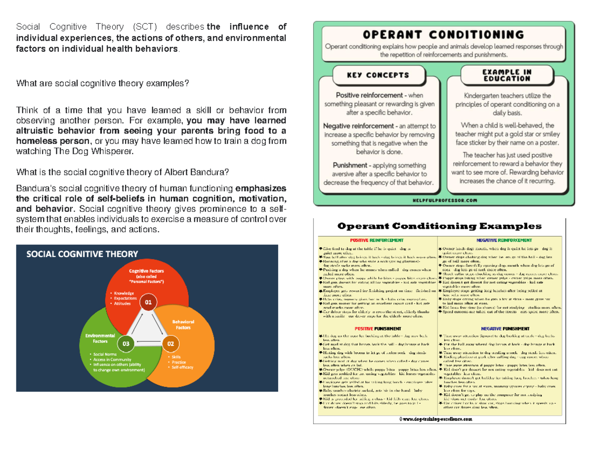 social-cognitive-theory-what-are-social-cognitive-theory-examples