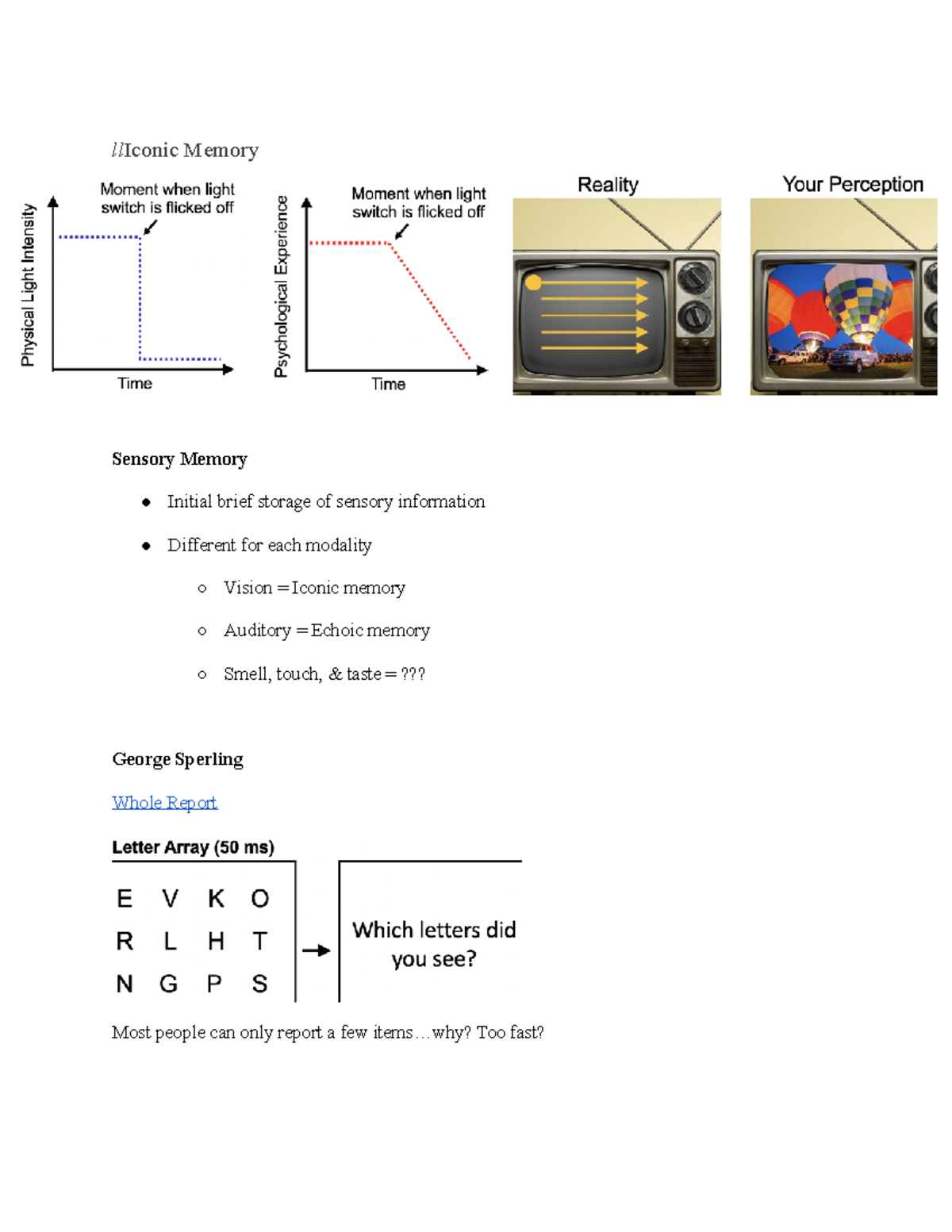 Motion Perception - llIconic Memory Sensory Memory Initial brief ...