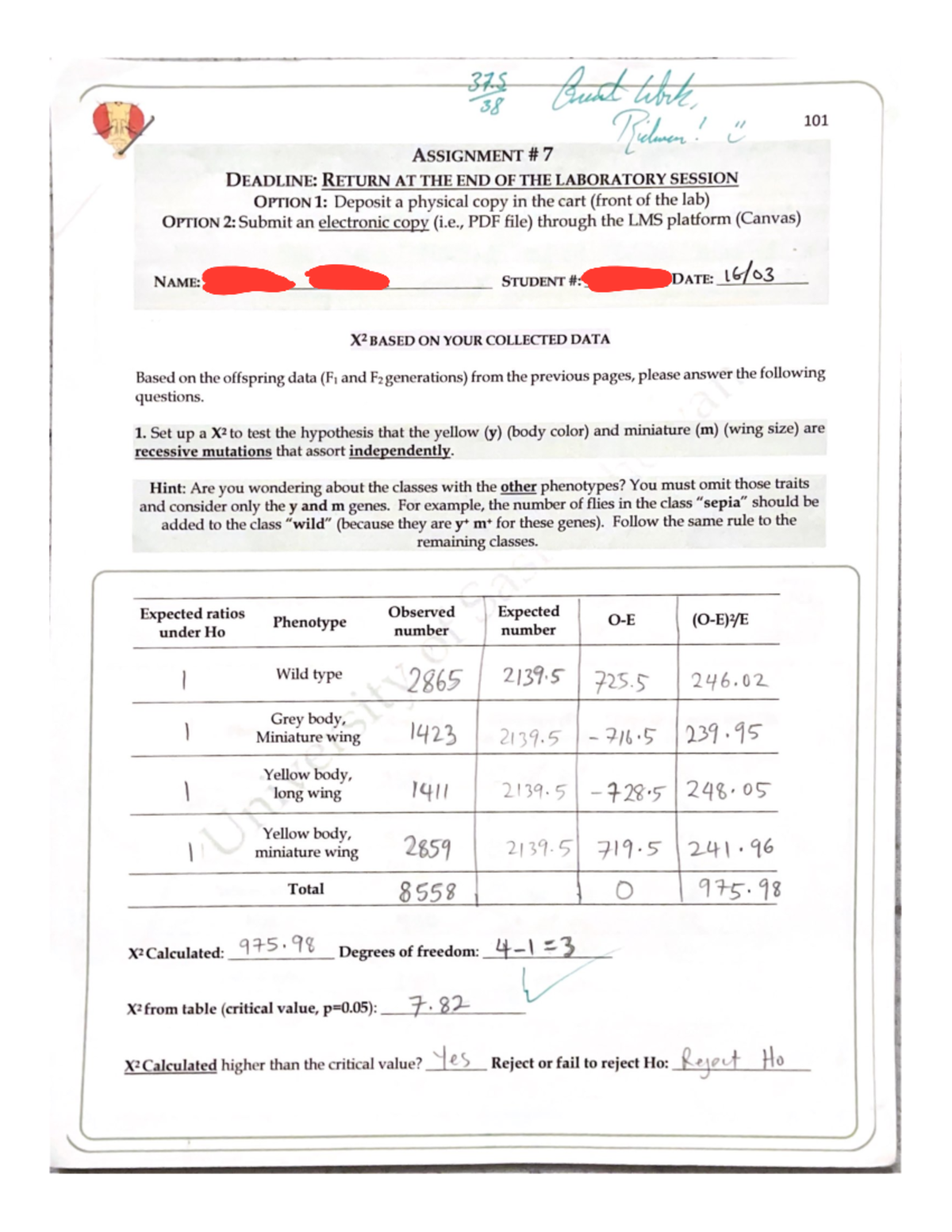 Bio 226 Assignment 7 drosophila class data review hypothesis