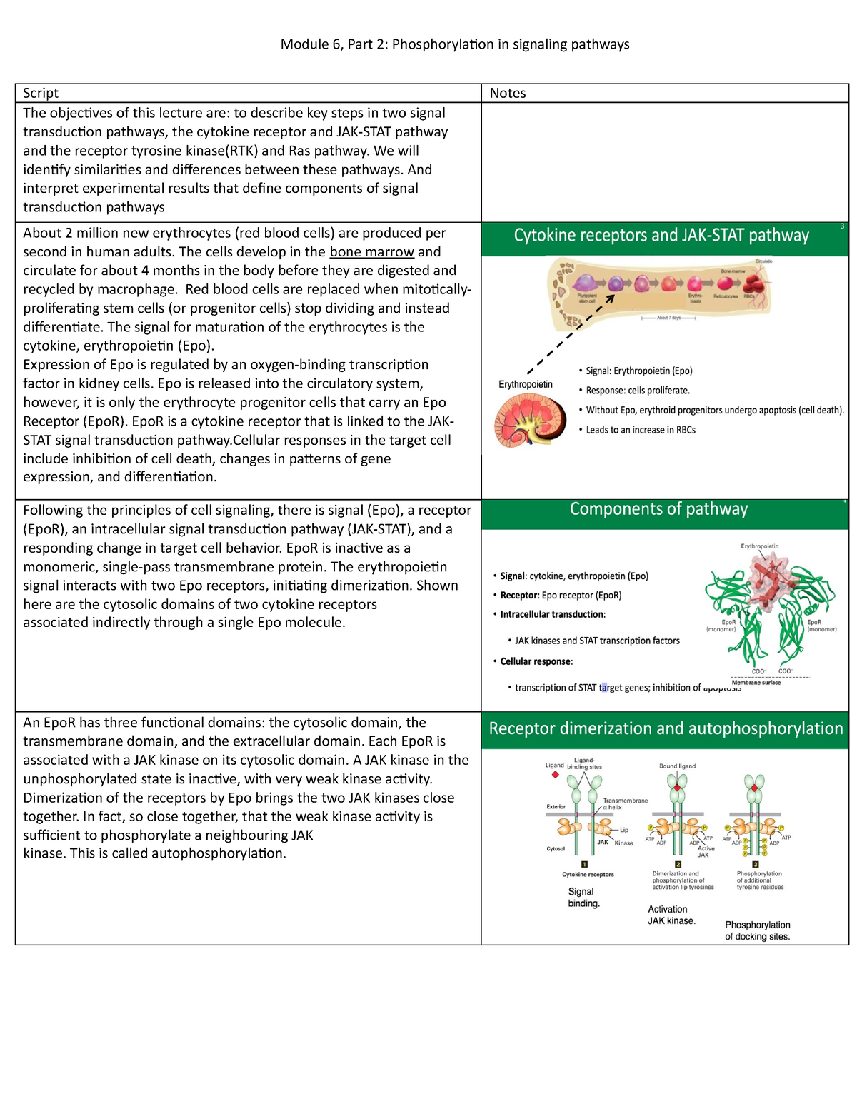 Module 6 Part 2 - Bio Detailed Notes For Lecture For Cell Biology ...