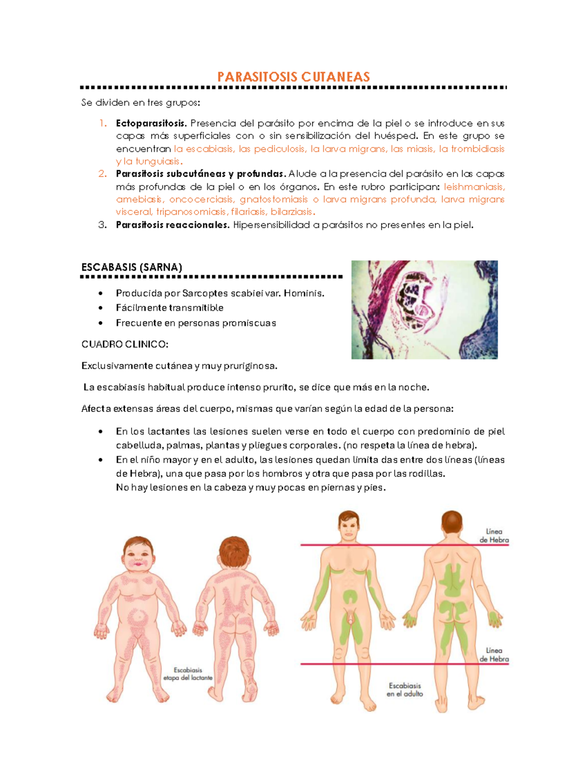 Parasitosis Cutaneas - PARASITOSIS CUTANEAS Se dividen en tres grupos: 1.  Ectoparasitosis. Presencia - Studocu
