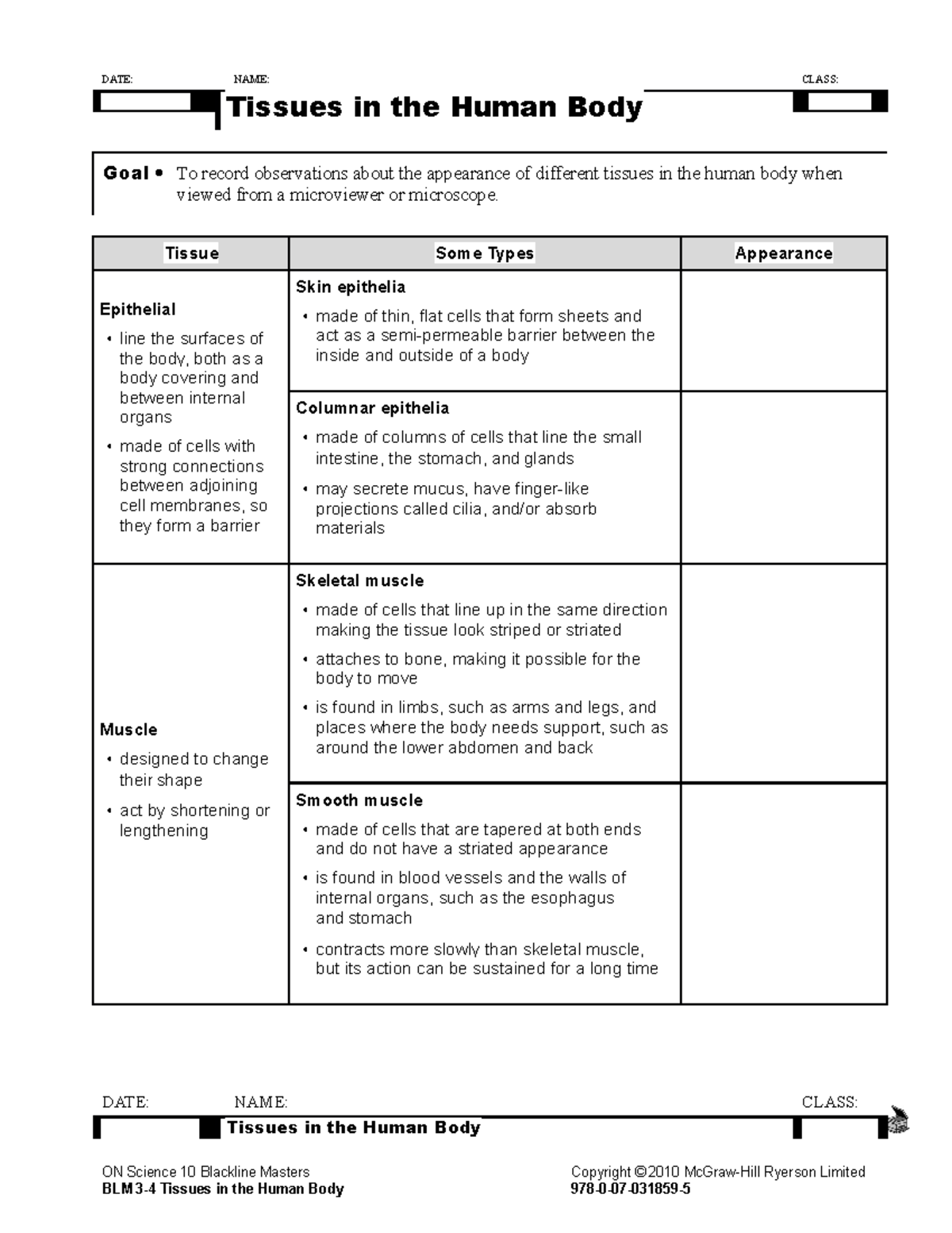 Animal Tissue Worksheet - DATE: NAME: CLASS: CHAPTER 3 Tissues in the ...