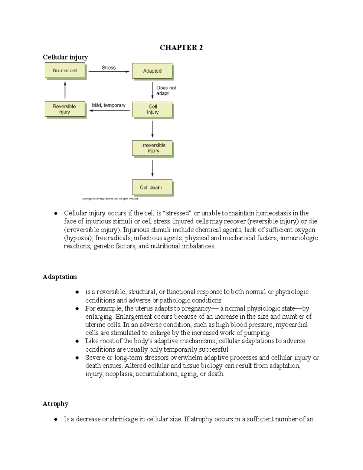 Patho Quiz Notes - CHAPTER 2 Cellular injury Cellular injury occurs if ...