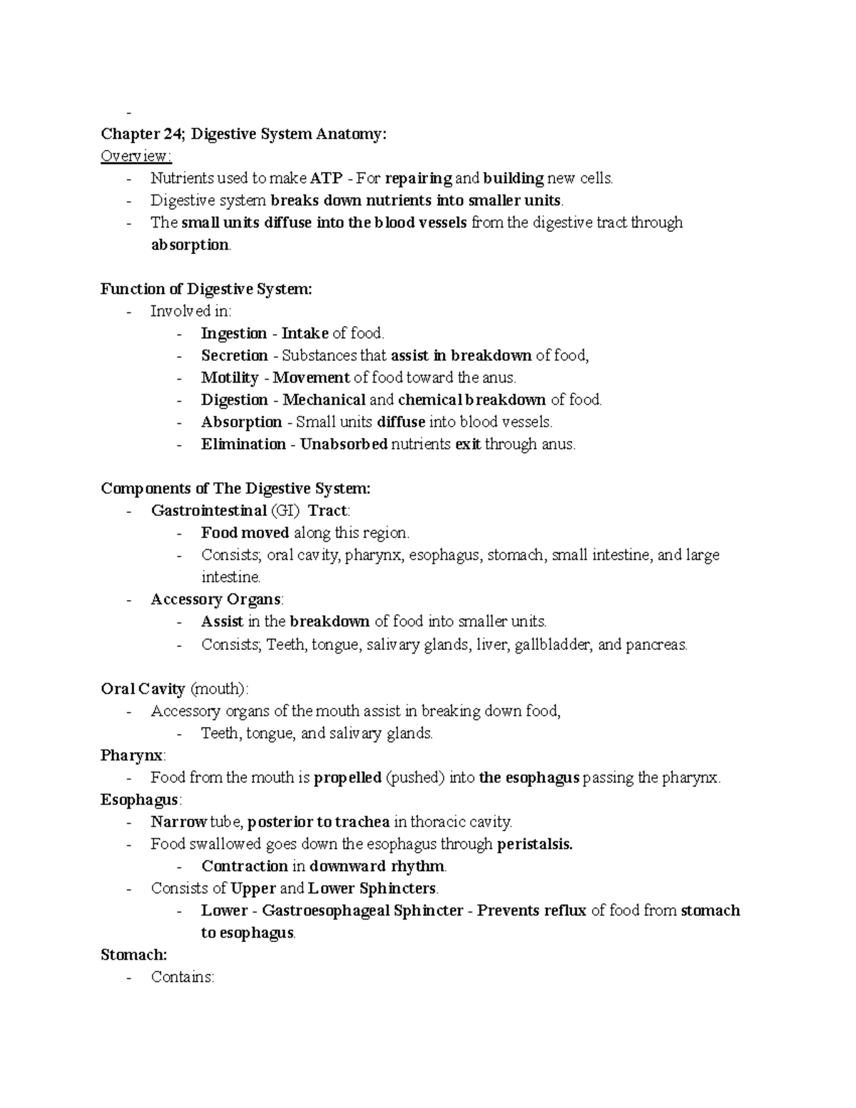 Chapter 24; Digestive System Anatomy - Chapter 24; Digestive System ...