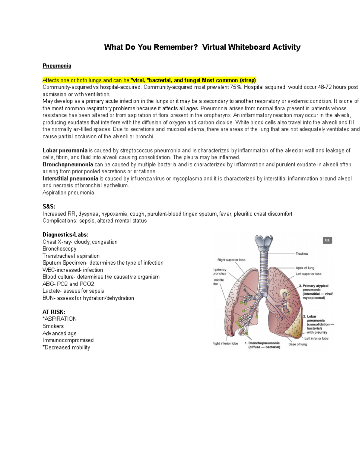 Respiratory Patho Review - What Do You Remember? Virtual Whiteboard 