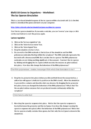 P6 lac Operon Simulation Instructions