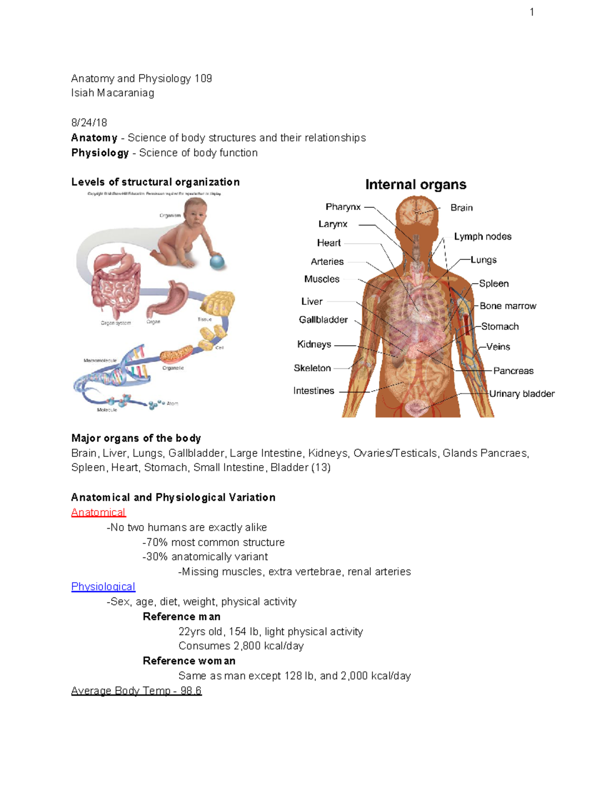 ANA 109 - Includes Pictures - Anatomy and Physiology 109 Isiah ...