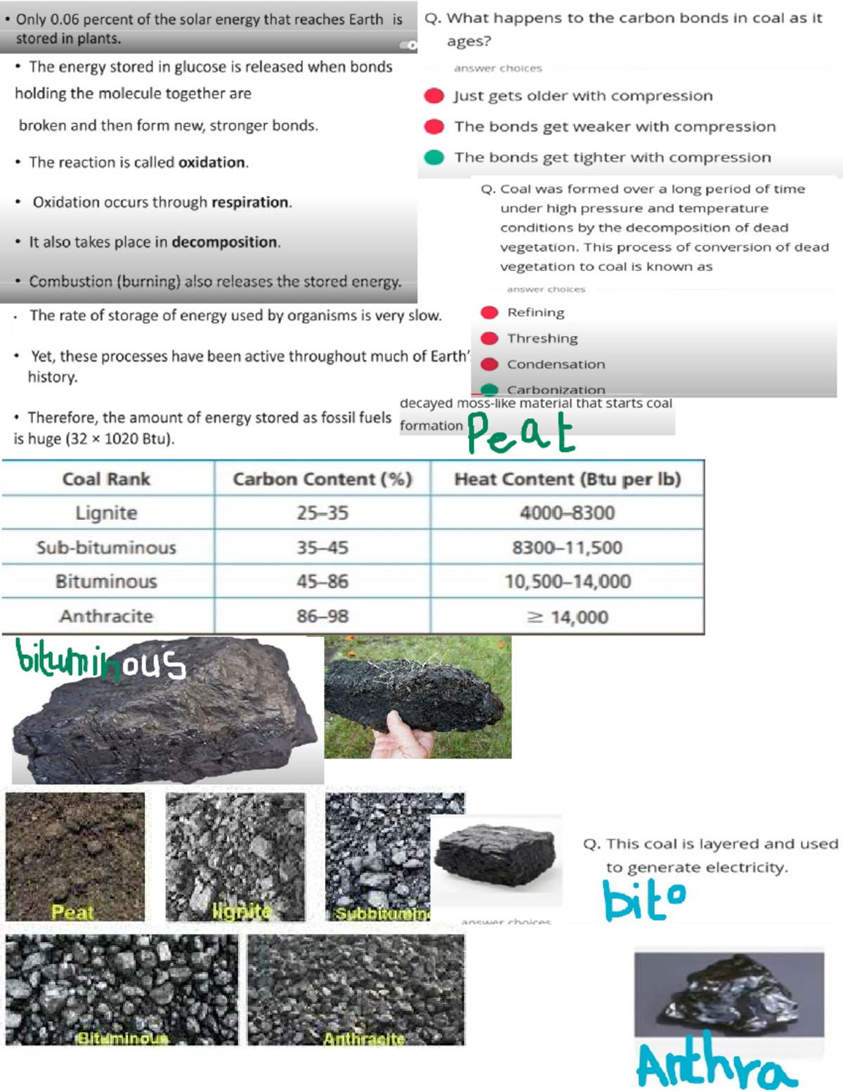 Coal Learning 11 and General notes Coal, by definition, is a