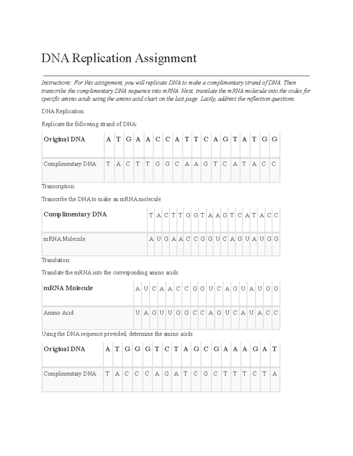 3.05 dna replication assignment answers