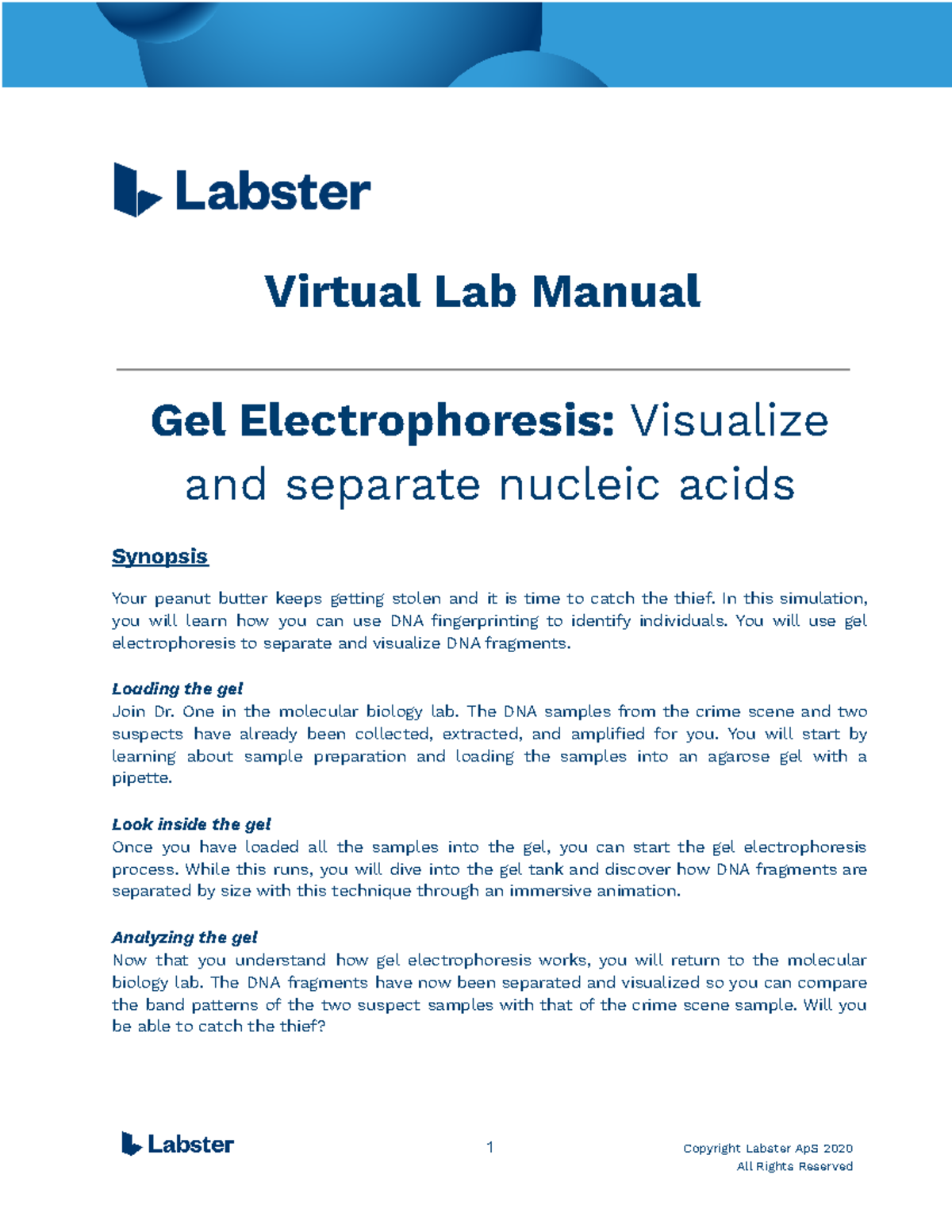 Virtual Lab Manual Gel Electrophoresis Visualize and separate nucleic