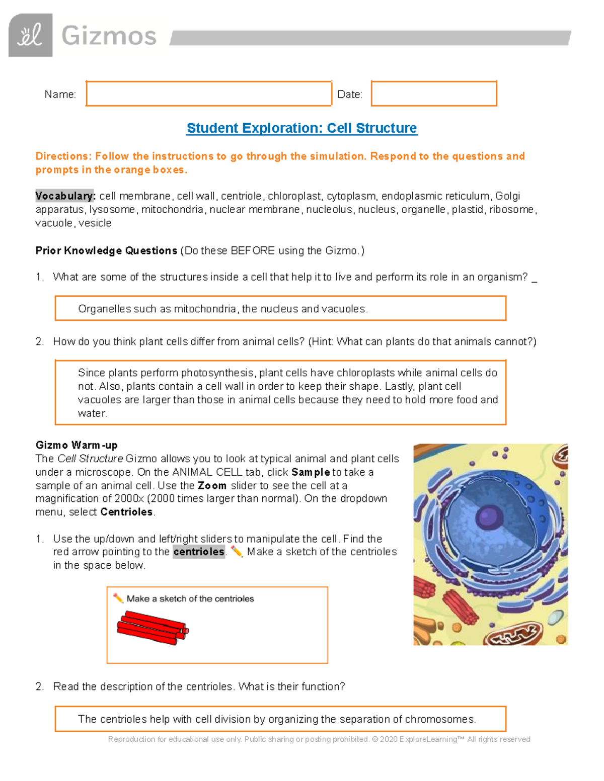 cell structure assignment