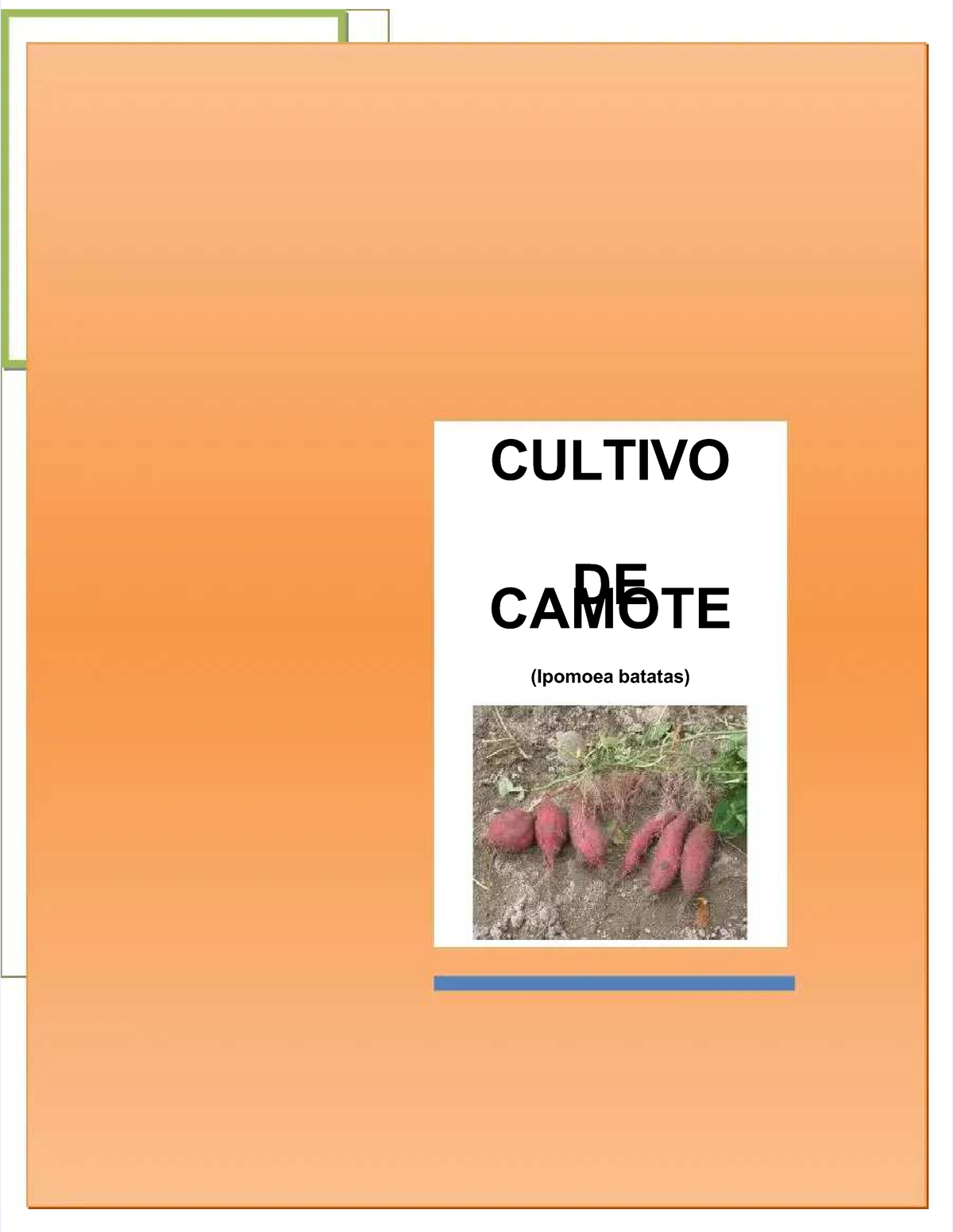 Pdf Cultivo De Camote Compress Cultivocultivo Dede Camotecamote Ipomoea Batatasipomoea 7396