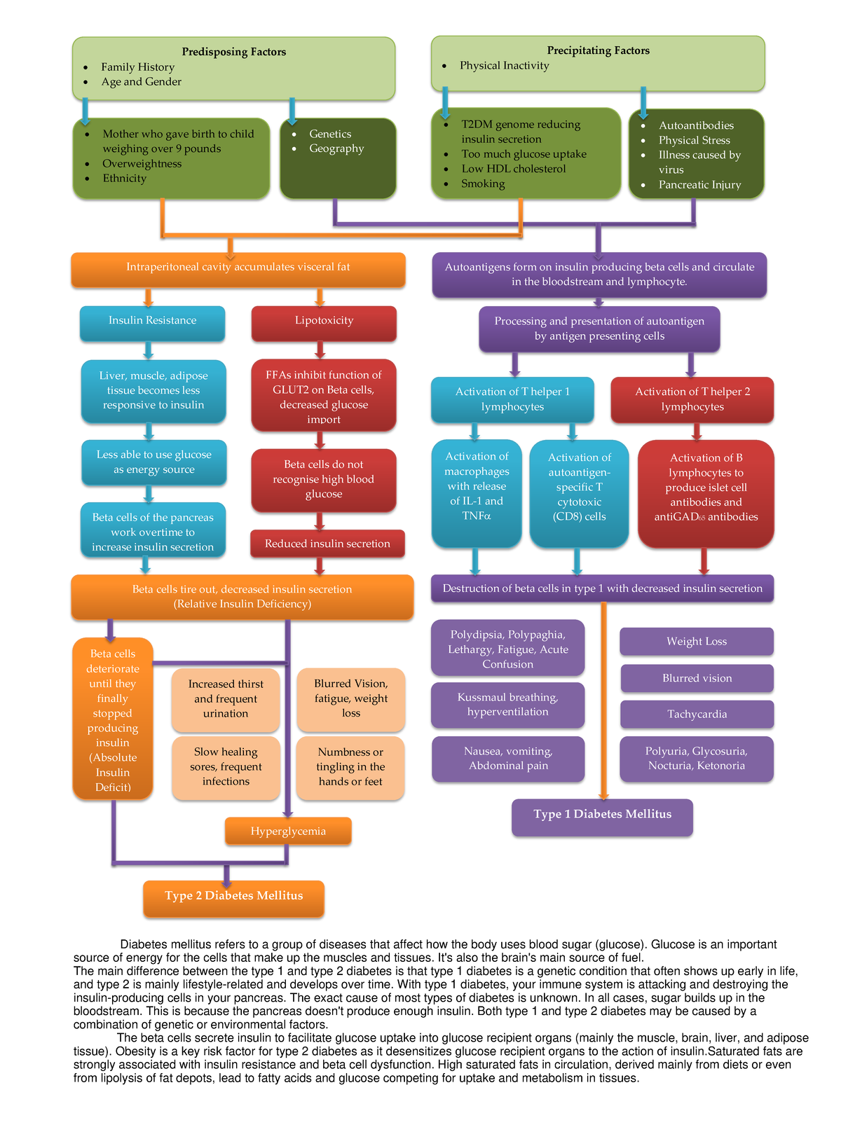 1Diabetes Mellitus - Predisposing Factors Family History Age and Gender ...