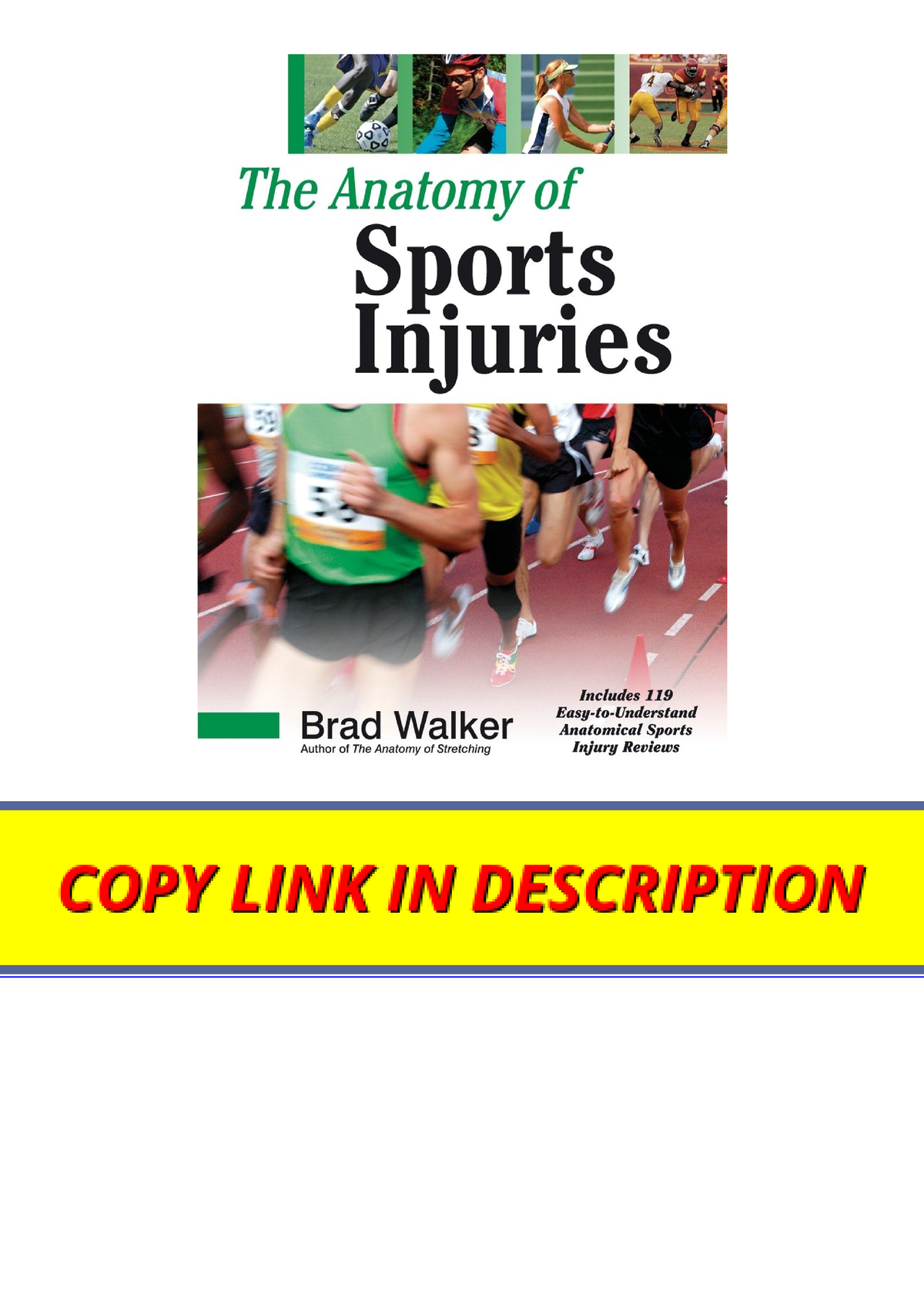 Download The Anatomy Of Sports Injuries Unlimited - Download The ...