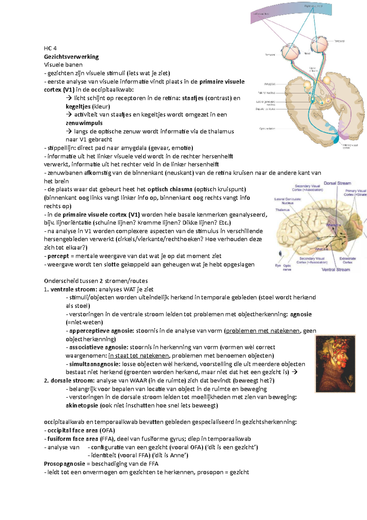 Hc Neurobiologische Achtergronden Van Opvoeding En Ontwikkeling Hc Gezichtsverwerking