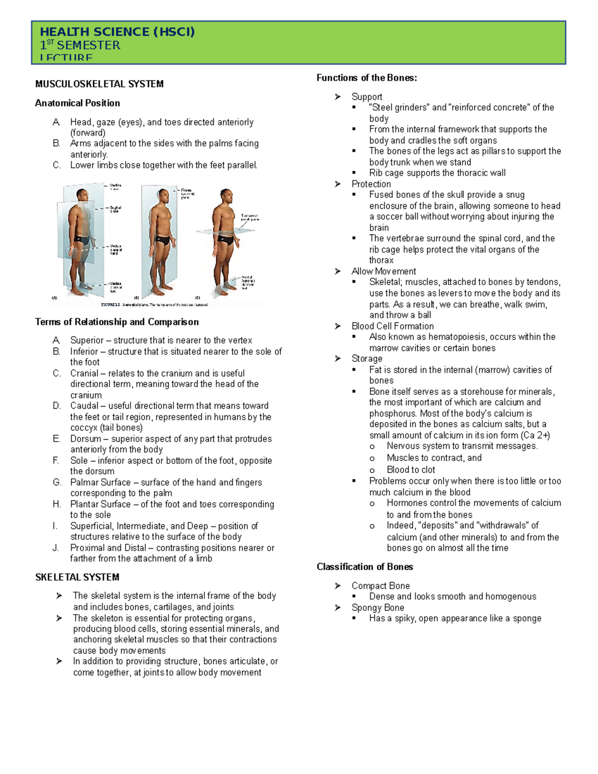 HSCI Lesson 4 - lecture notes - MUSCULOSKELETAL SYSTEM Anatomical ...