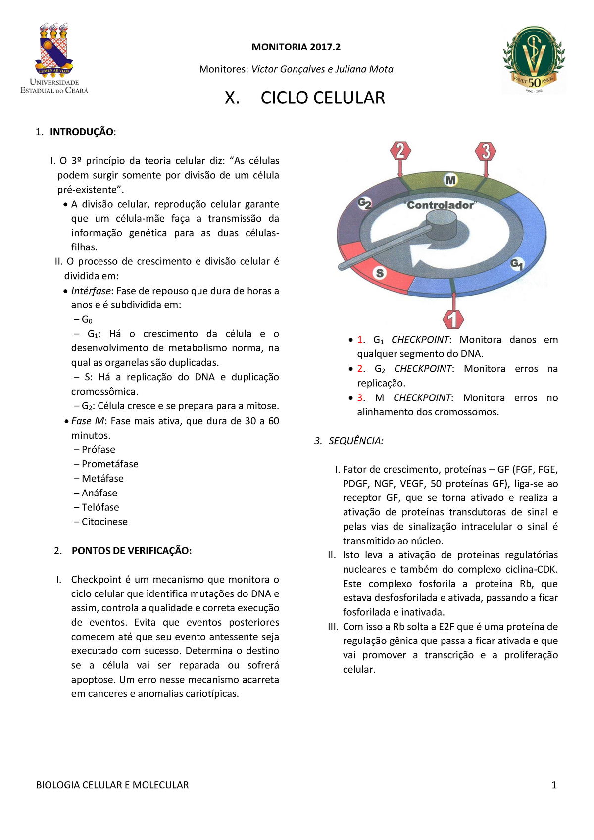 Ciclo celular: o que é, etapas, controle, resumo - Biologia Net