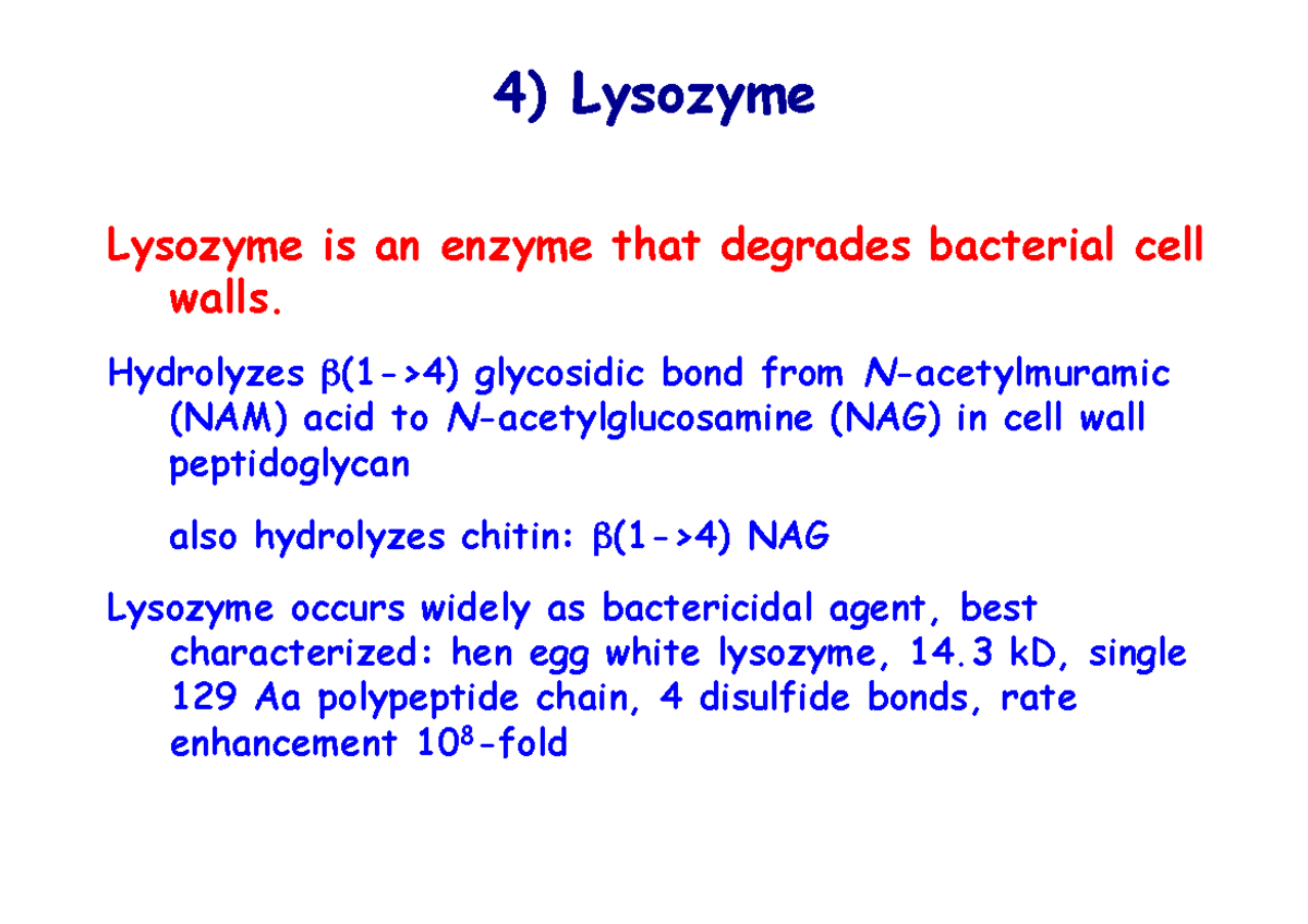 Lysozyme 4) Lysozyme Lysozyme is an enzyme that degrades bacterial cell walls. Hydrolyzes