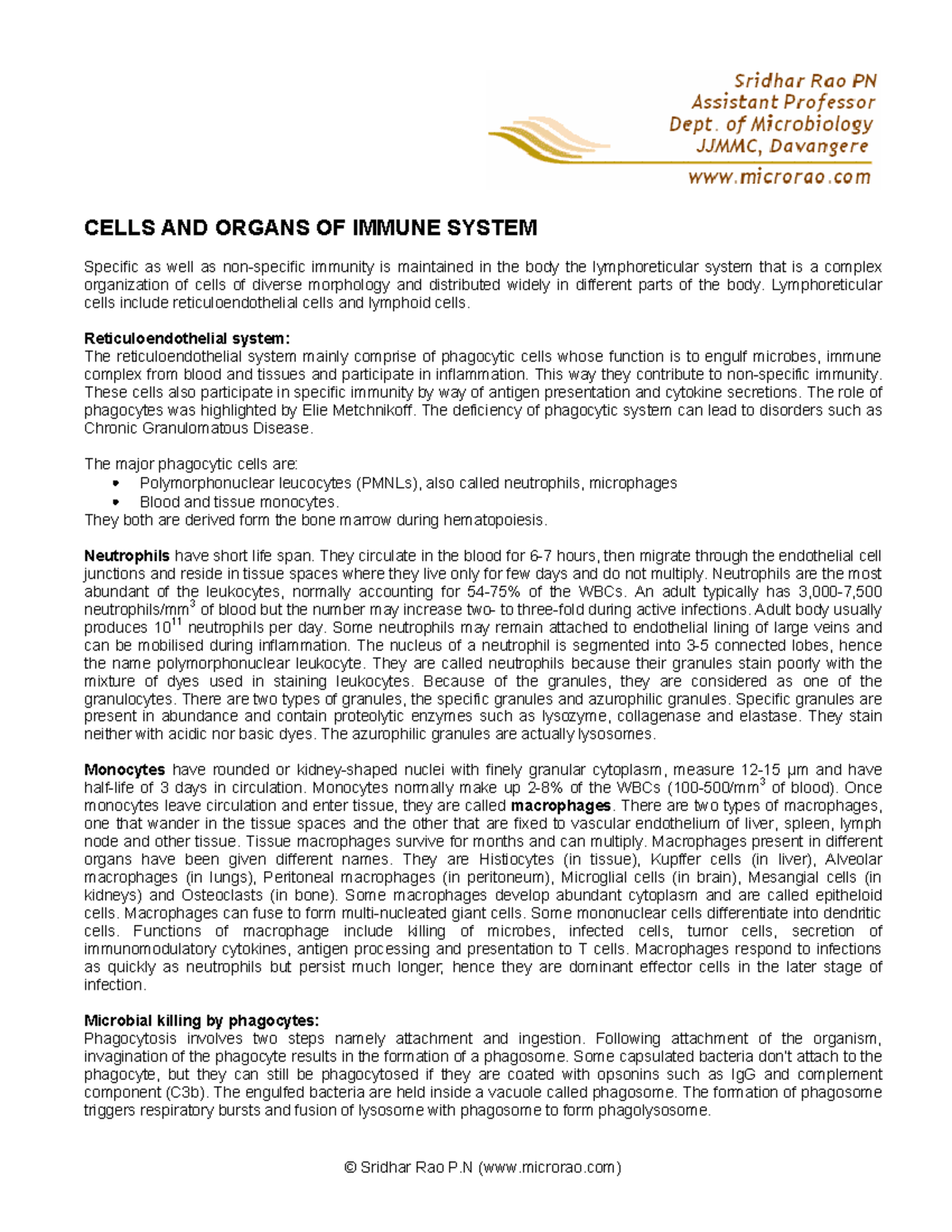 immune-system-cells-and-organs-of-immune-system-specific-as-well-as