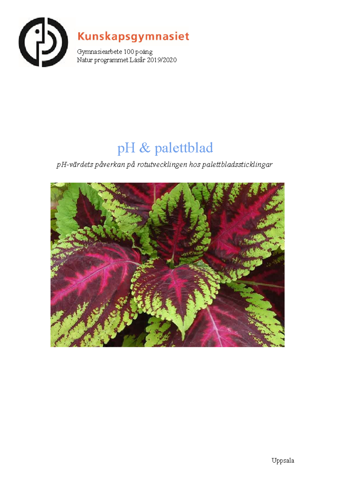 gymnasiearbete-ph-v-rde-och-palletblad-gymnasiearbete-100-po-ng