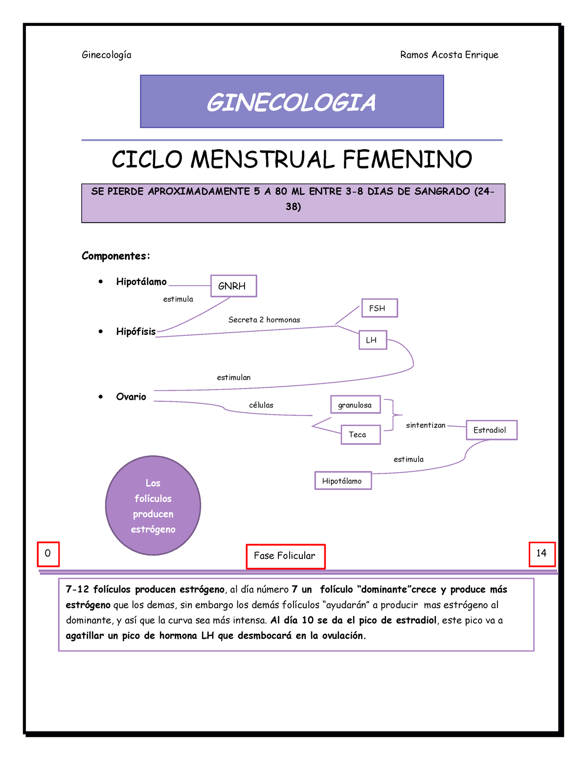 Ginecologia Resumen Para Repasar Ginecologia Ciclo Menstrual Femenino Se Pierde 1907