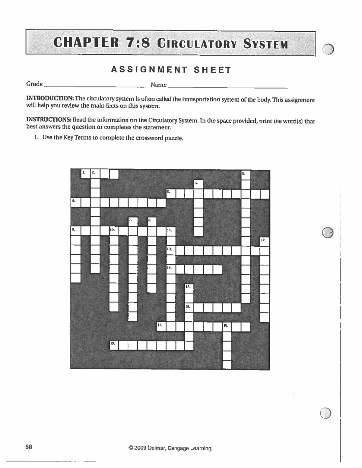 HST Circulatory System Assignment Sheets+ - Studocu