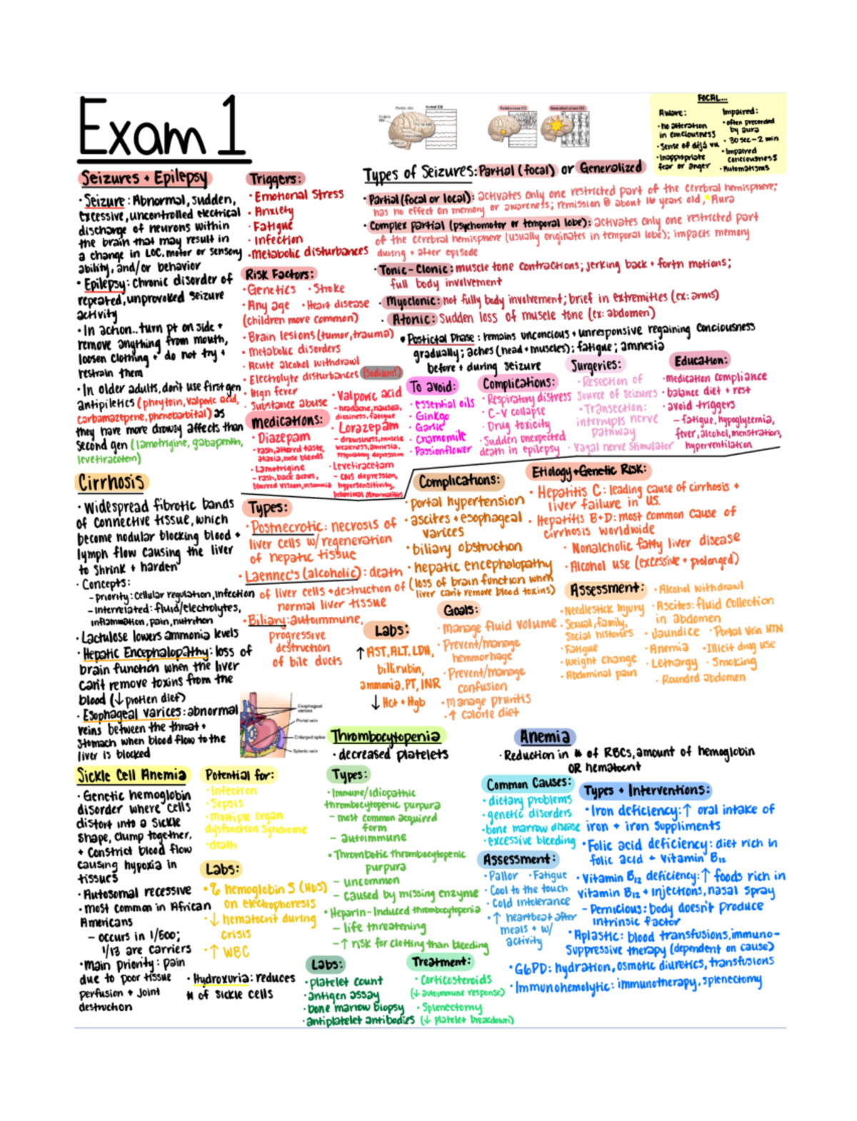 CI 1 - Exam 1 Study Guide - NURS 3890 - Studocu