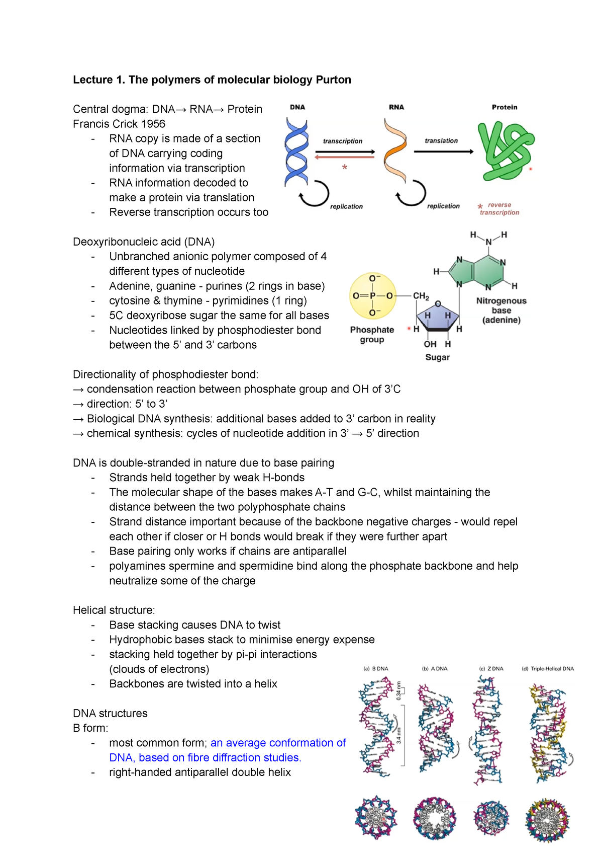 BIOC0005 Molecular Biology Lecture Notes 2021/22 - Lecture 1. The ...