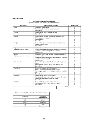 Manual De Prueba De Funciones Basica Y P - INSTITUTO PROFESIONAL LA ...