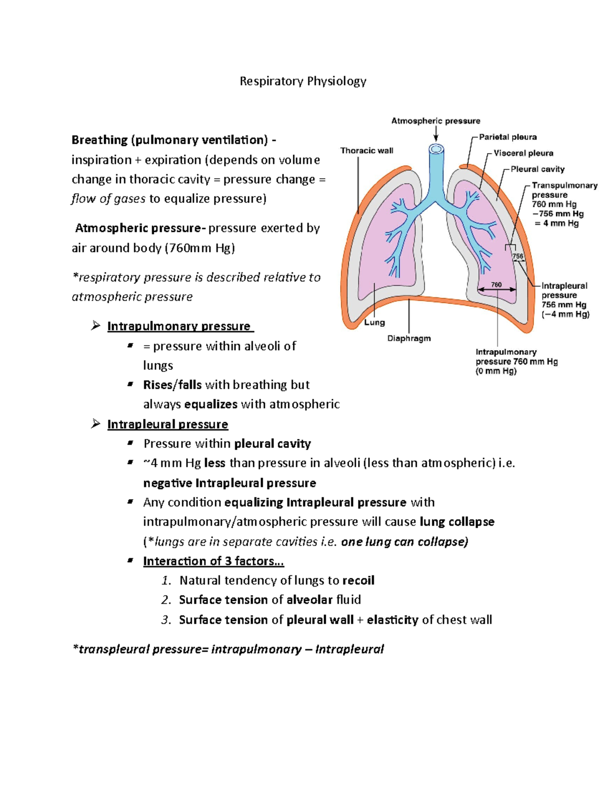 Respiratory Physiology - Respiratory Physiology Breathing (pulmonary ...