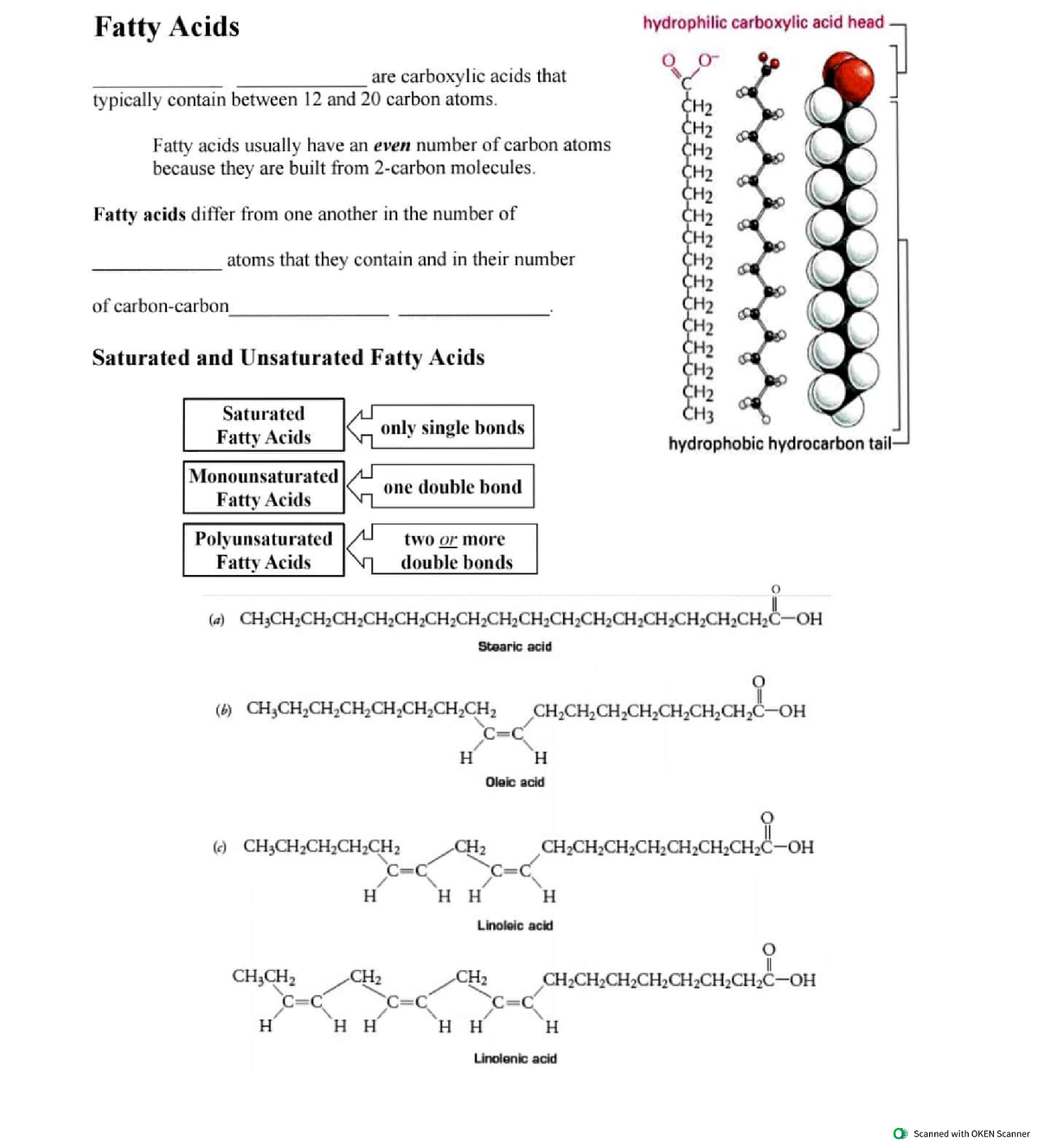 Lipids - Fatty Acids, Triglycerides - Microbial Biochemistry - Studocu