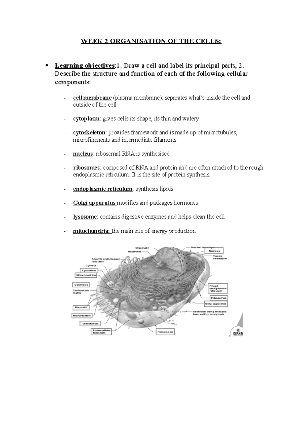 WEEK 2 A&P - Lecture notes 2 - WEEK 2 ORGANISATION OF THE CELLS ...