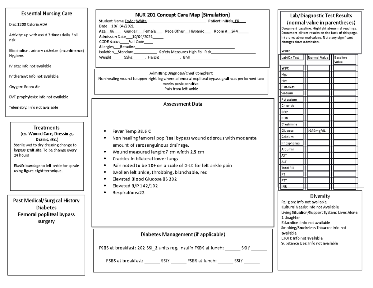 NUR+201+Concept+Care+Map+final concept map - Lab/Diagnostic Test ...