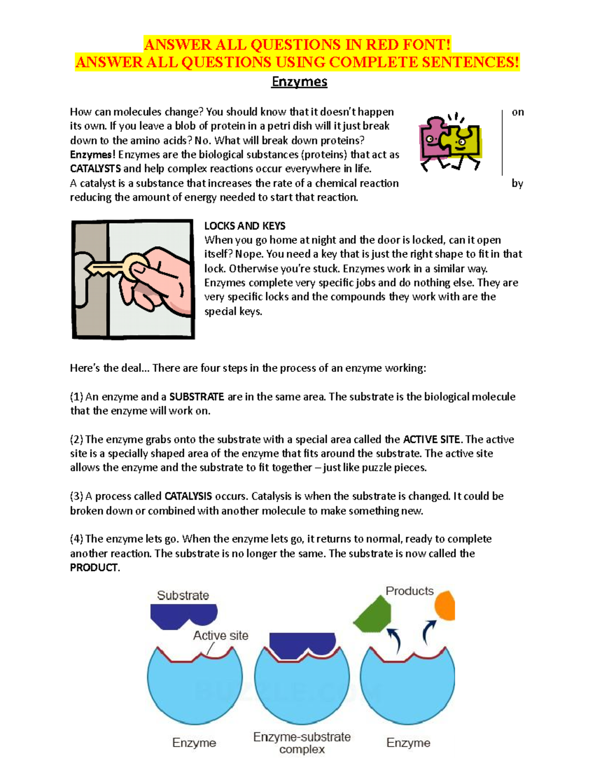 Nevaeh Johnson Enzymes Worksheet (SUB WORK) ANSWER ALL QUESTIONS