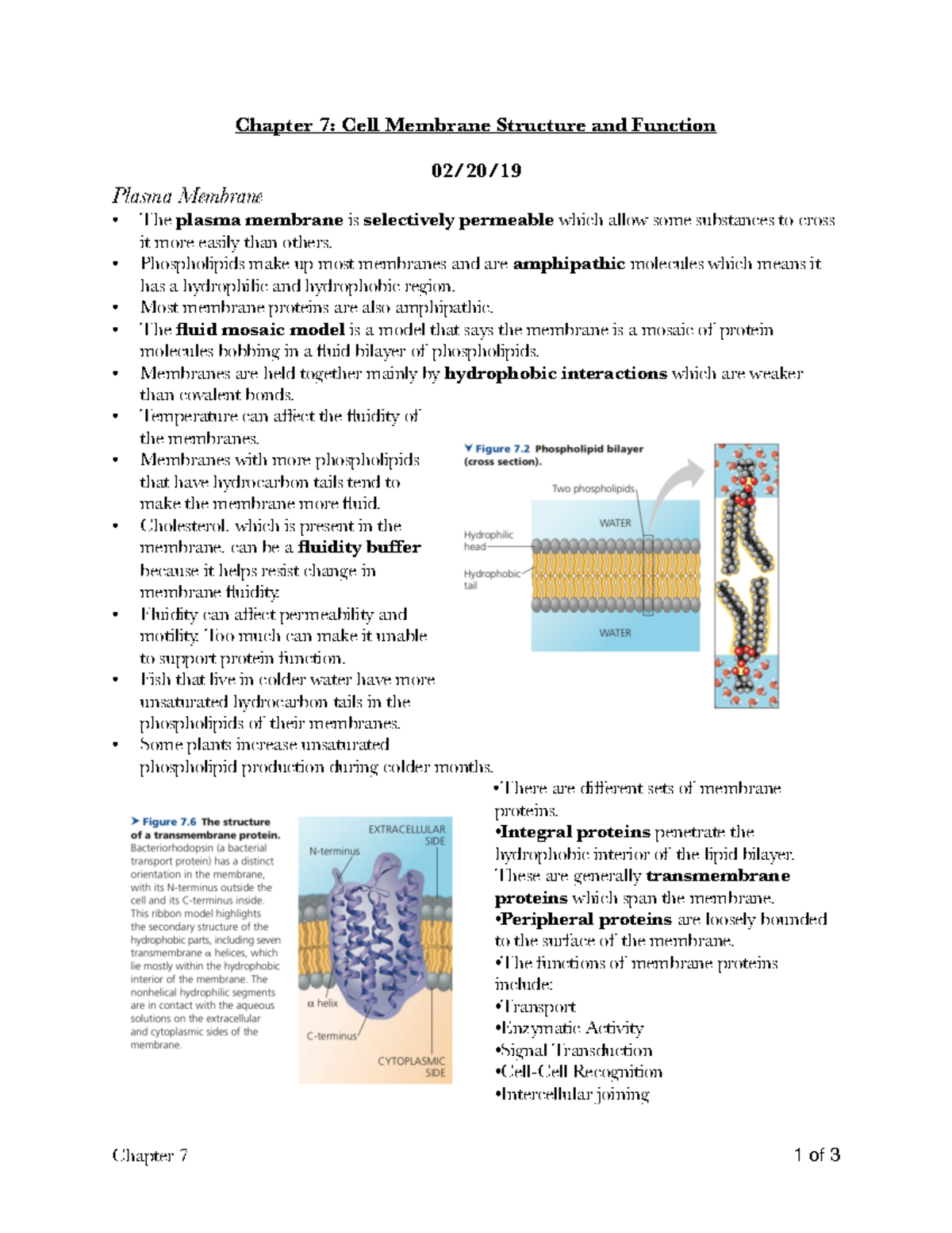 Bio 2010 Chapter 7 Pdf - Professor Yelena Zhuravlev - Chapter 7: Cell ...