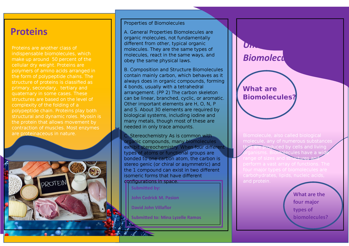 biomolecules-orig-i-studied-there-and-finished-there-proteins