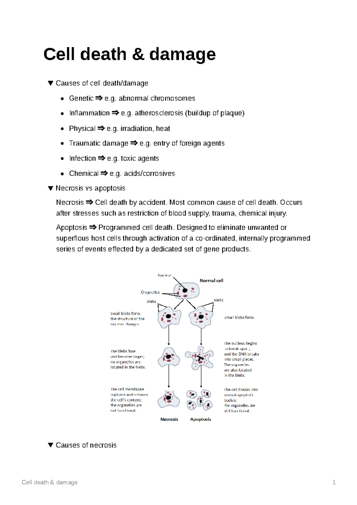 Cell death and damage - Cell death & damage Causes of cell death/damage ...