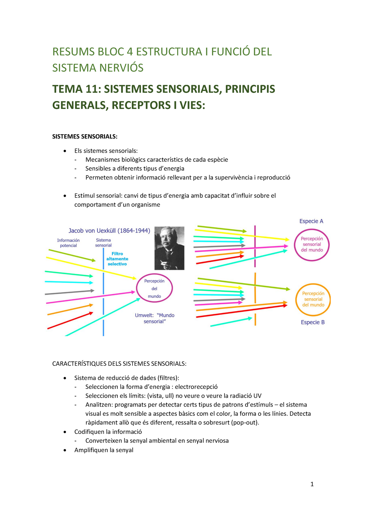 Resums Estructura Bloc Resums Bloc Estructura I Del Sistema Tema