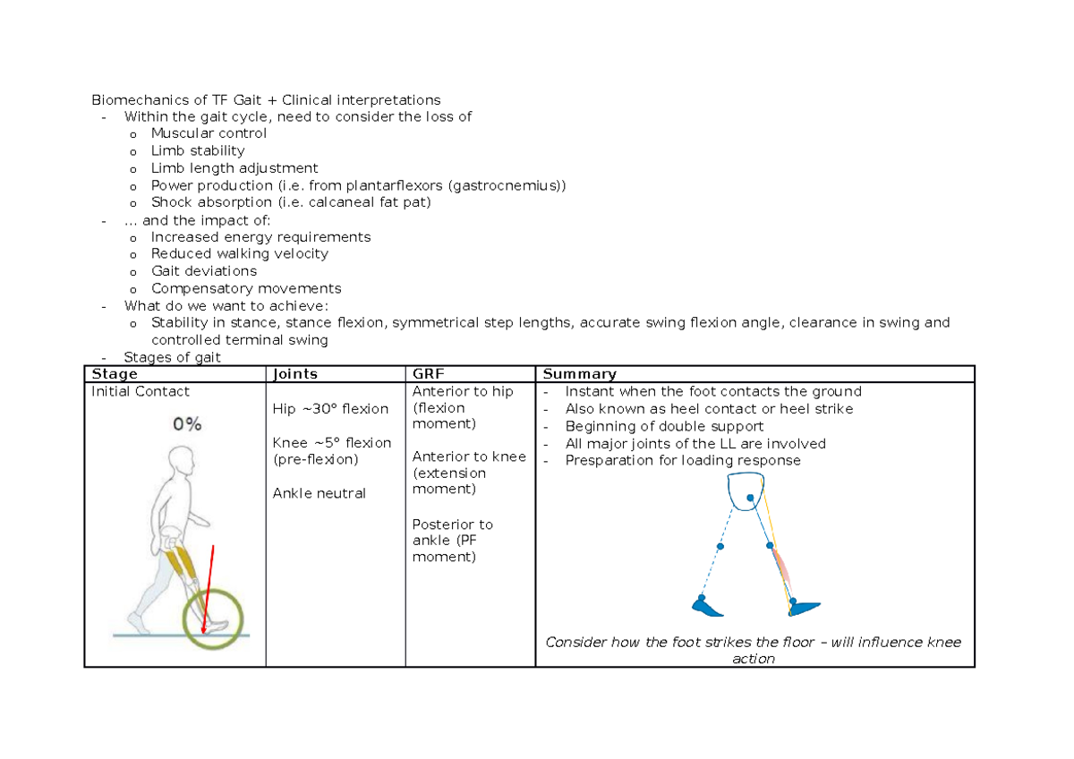 TF gait deviations - Biomechanics of TF Gait + Clinical interpretations ...