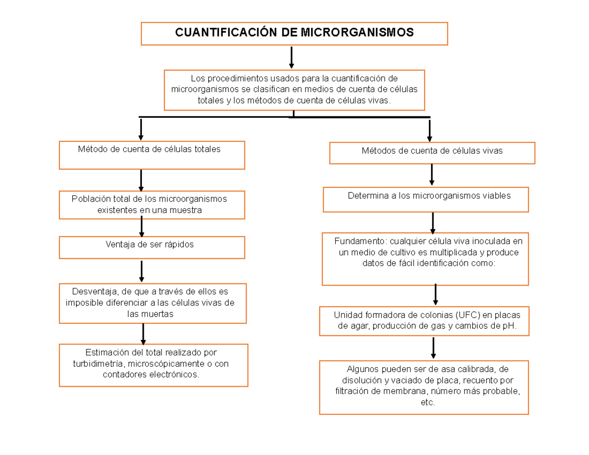 Practica 4: "Cuantificación de Microorganismos" - Estimación del total
