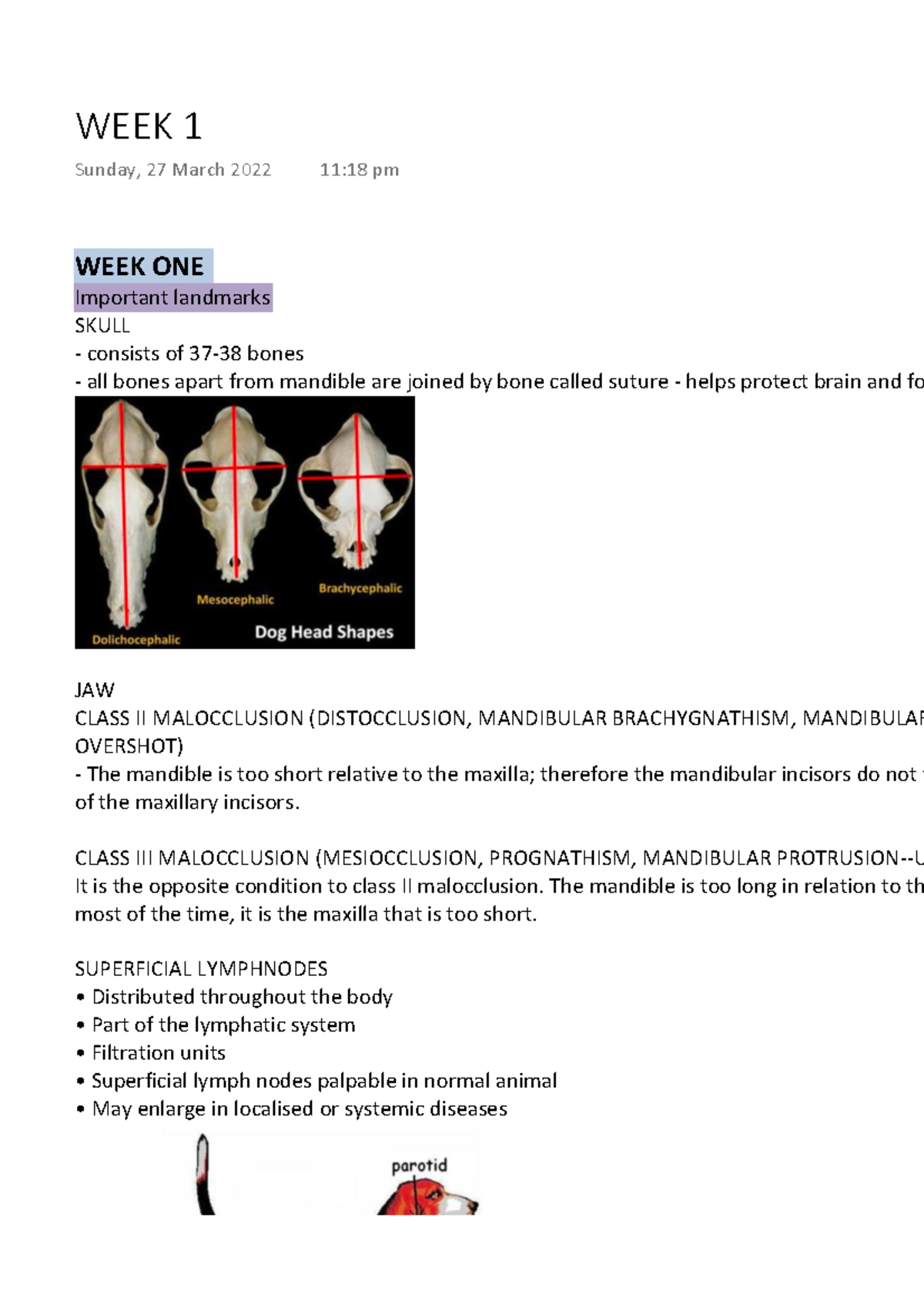 WEEK 1 Week 1 notes for Animal health technology. WEEK ONE