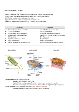 Minitest 2 cheatsheet - mini test - WEEK 5 - central dogma A gene is a ...