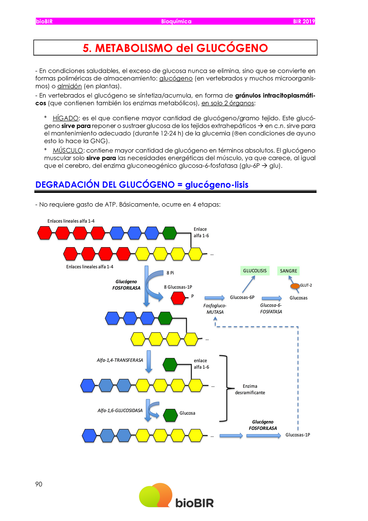 Modelo Apuntes Bq Bir Uv Studocu