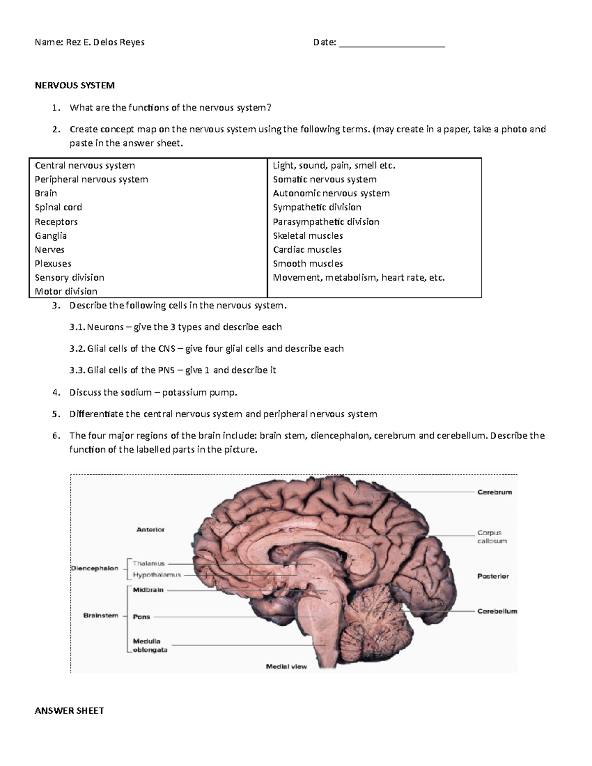 Nervoussystem - nursing - Name: Rez E. Delos Reyes Date ...