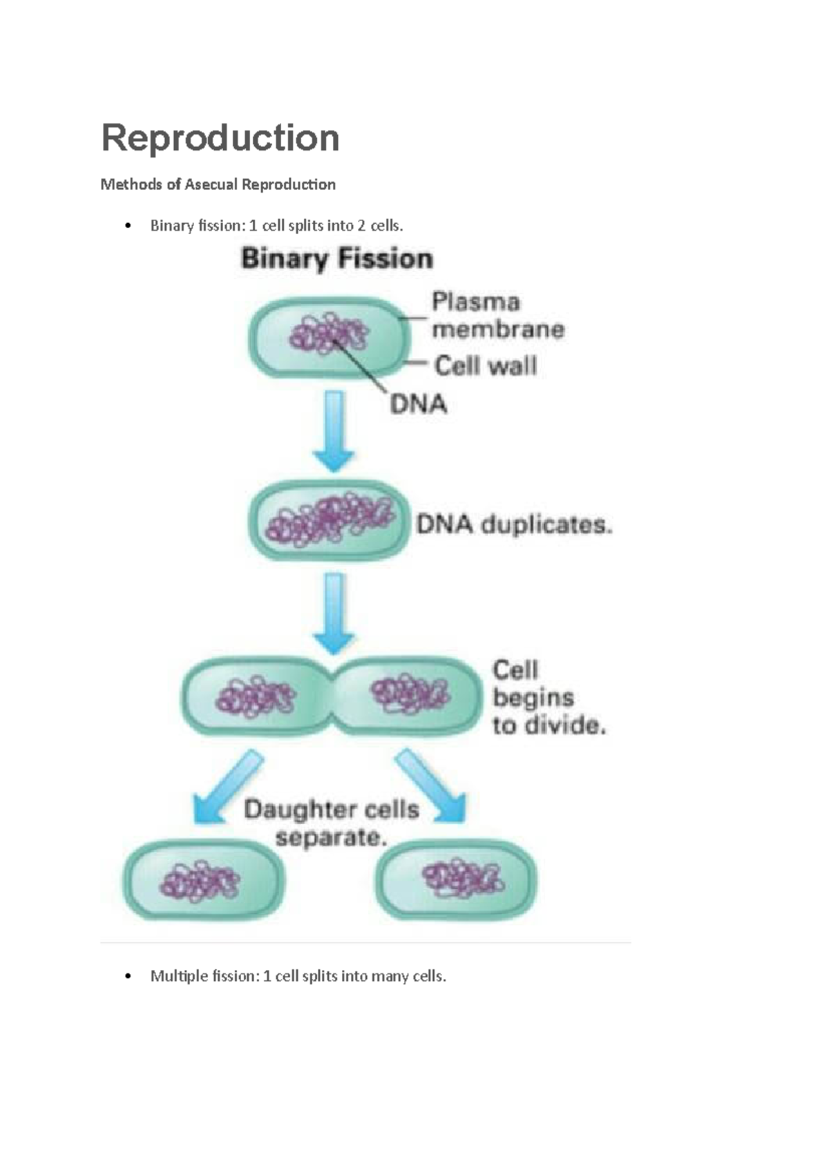 Reproduction - helps with learning materials - Reproduction Methods of ...